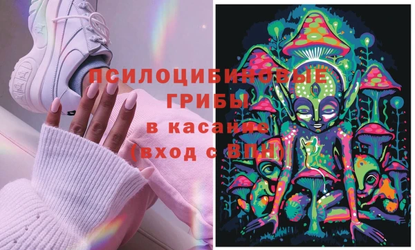 гидропоника Наволоки