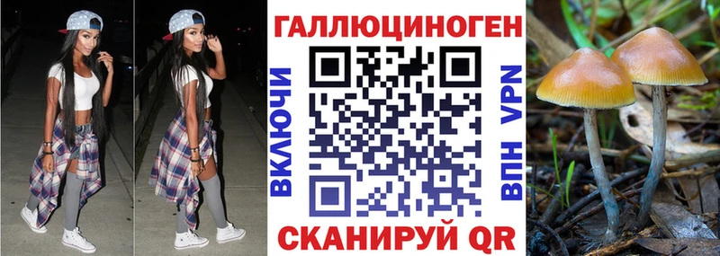 Галлюциногенные грибы прущие грибы  Катайск 